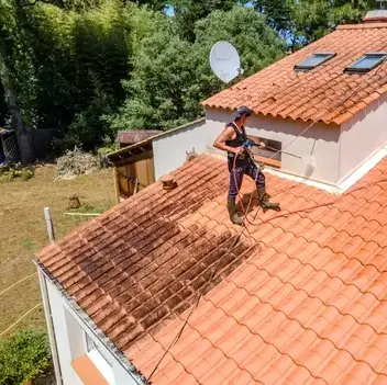 démoussage toitures Aizenay-1