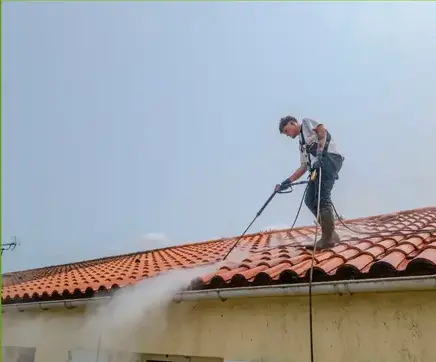 démoussage toitures à Aizenay - image 3