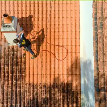 démoussage toitures à Aizenay - image 4