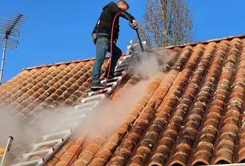 démoussage toitures Aizenay-5