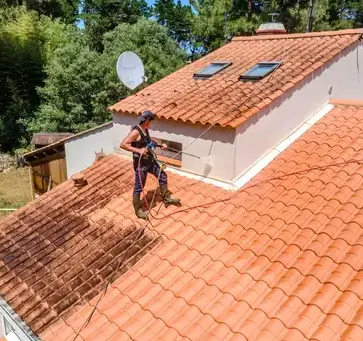 démoussage toitures à Barbâtre - image 4