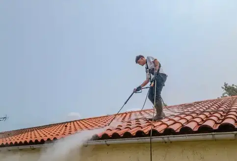 démoussage toitures Bretignolles-sur-Mer-1