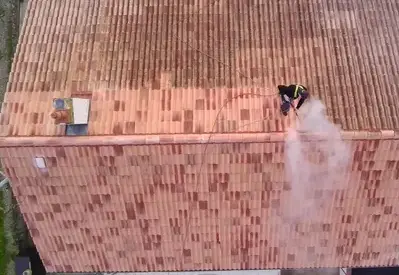 démoussage toitures à Bretignolles-sur-Mer - image 2