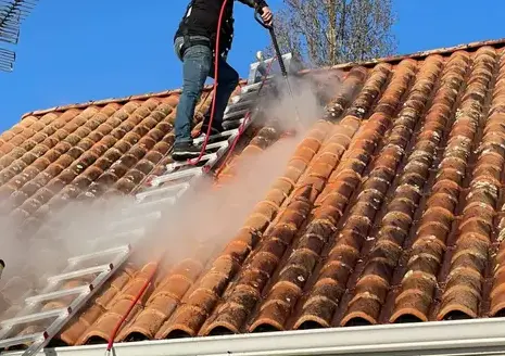 démoussage toitures à Bretignolles-sur-Mer - image 4