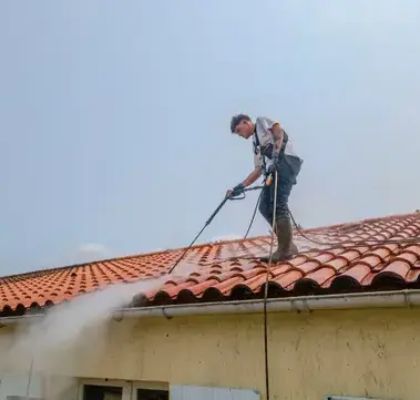 démoussage toitures à Challans - image 2