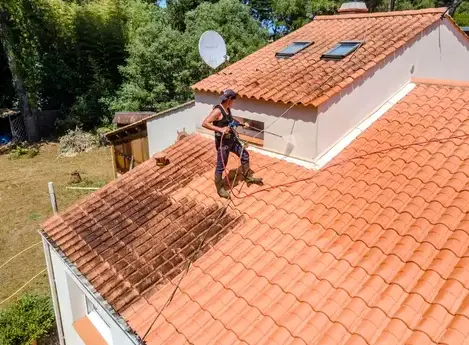 démoussage toitures à Le Poiré-sur-Vie - image 2