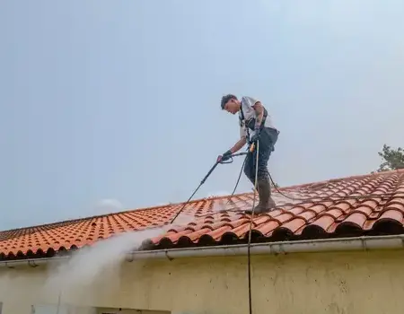 démoussage toitures Le Poiré-sur-Vie-5