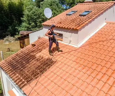 démoussage toitures à Les Herbiers - image 4