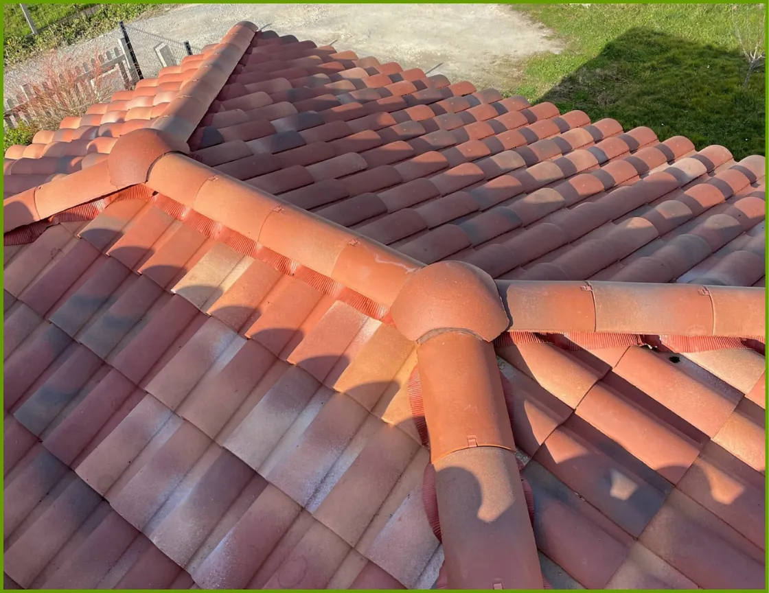 demoussage toitures les herbiers