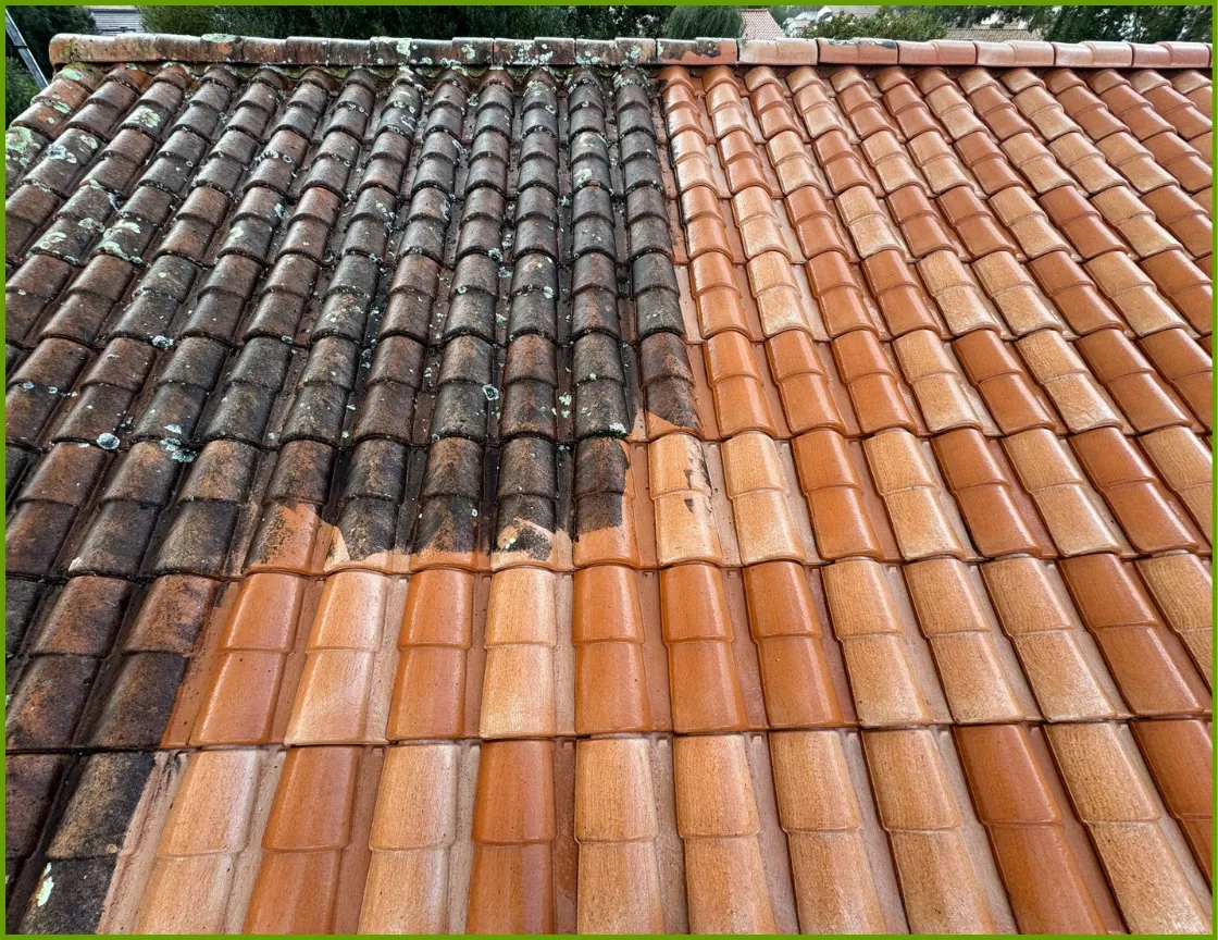 demoussage toitures les herbiers