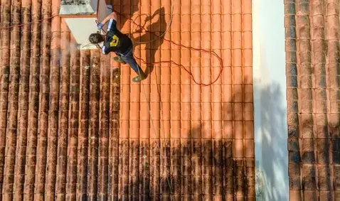 démoussage toitures Les Sables d'Olonne-1