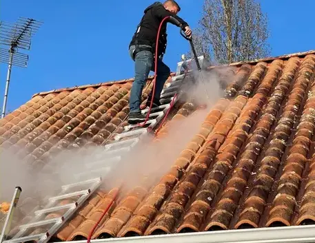 démoussage toitures à Les Sables d'Olonne - image 4