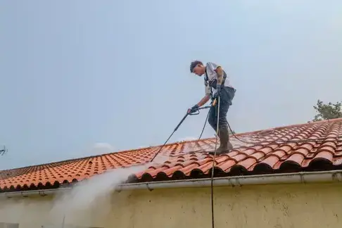 démoussage toitures Montaigu-Vendée-1