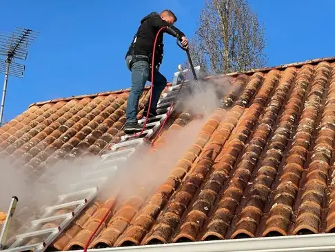 démoussage toitures à Montaigu-Vendée - image 2