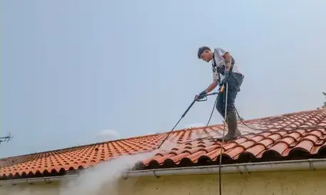 démoussage toitures à Roche-sur-Yon - image 2