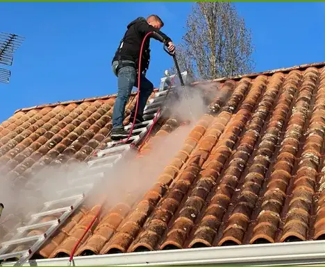 démoussage toitures à Roche-sur-Yon - image 3