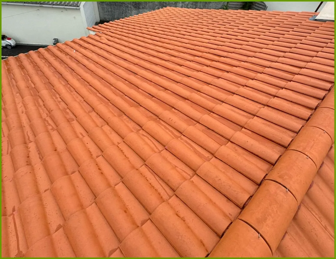 demoussage toitures roche sur yon