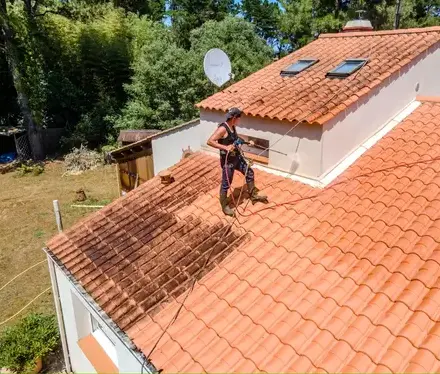 démoussage toitures à Roche-sur-Yon - image 4