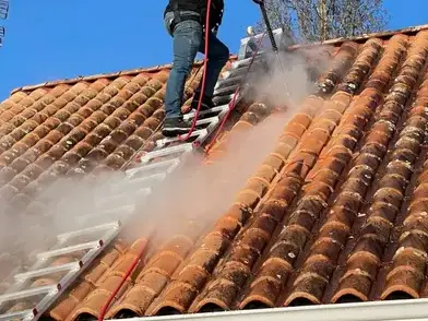 démoussage toitures à Saint-Gilles-Croix-de-Vie - image 2