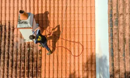 démoussage toitures à Saint-Gilles-Croix-de-Vie - image 3