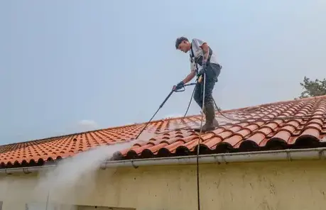 démoussage toitures à Saint-Gilles-Croix-de-Vie - image 4