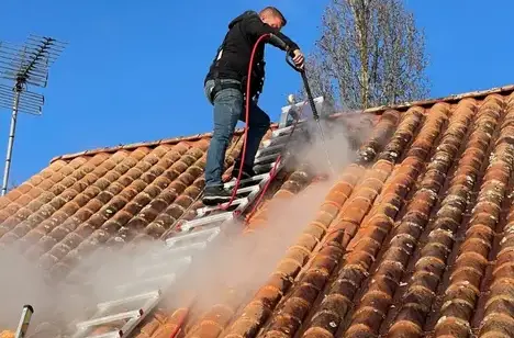 démoussage toitures Saint-Jean-de-Monts-1