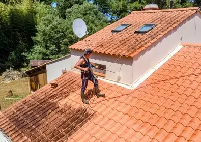 démoussage toitures à Saint-Jean-de-Monts - image 4