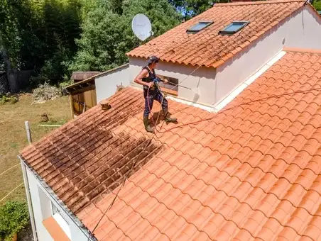 démoussage toitures Soullans-1