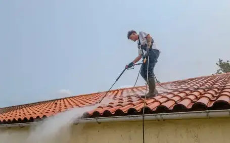 démoussage toitures Soullans-5