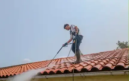 entretien toiture Aizenay-5