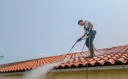 entretien toiture Bretignolles-sur-Mer-5