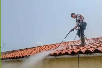 entretien toiture Les Herbiers-1