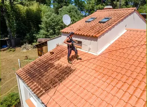 entretien toiture à Les Herbiers - image 4