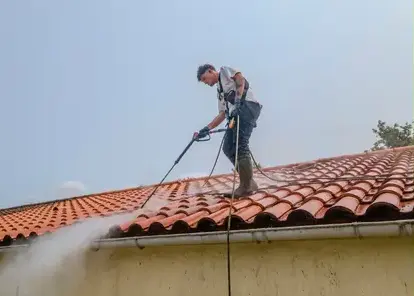 nettoyage écologique à Aizenay - image 4