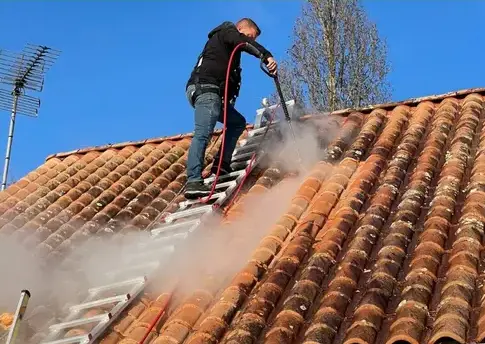 nettoyage écologique à Barbâtre - image 3