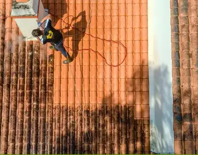 nettoyage écologique à Barbâtre - image 4