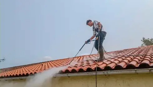 nettoyage écologique à Le Poiré-sur-Vie - image 4