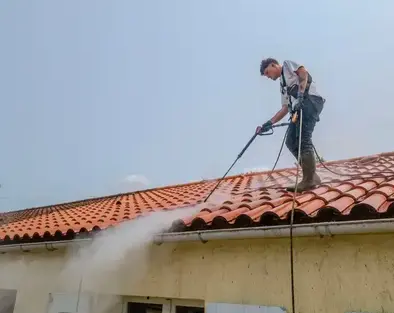 nettoyage écologique Les Herbiers-5