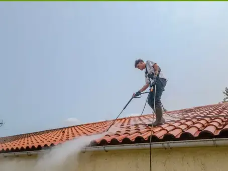 nettoyage écologique à Montaigu-Vendée - image 2