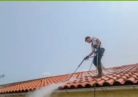 nettoyage écologique à Saint-Gilles-Croix-de-Vie - image 3