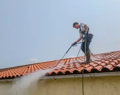 nettoyage écologique à Saint-Jean-de-Monts - image 2