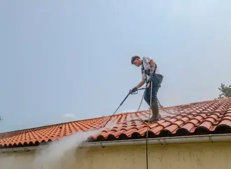 nettoyage écologique Soullans-1