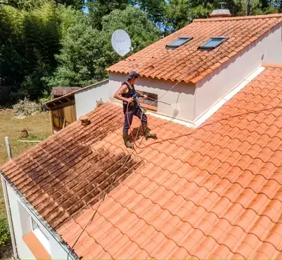 nettoyage écologique à Soullans - image 3