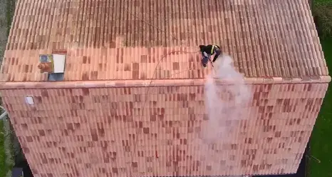 nettoyage écologique à Soullans - image 4