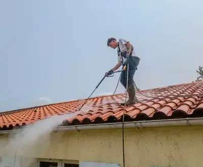 nettoyage façade à Aizenay - image 2