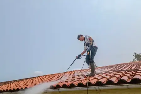 nettoyage façade à Barbâtre - image 3