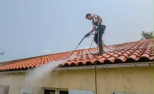 nettoyage façade à Le Poiré-sur-Vie - image 2