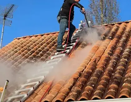 nettoyage façade à Les Herbiers - image 2