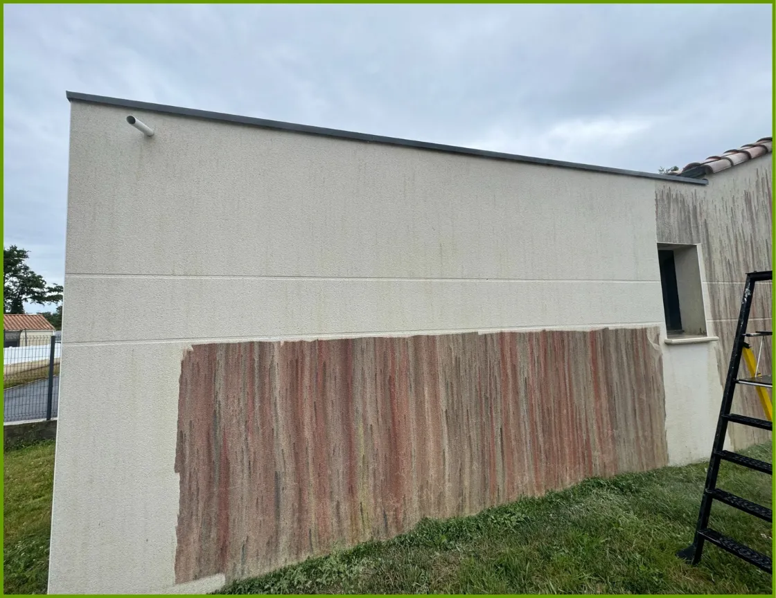 nettoyage facade roche sur yon