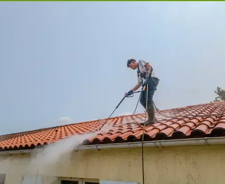 nettoyage façade Soullans-5